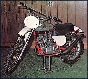 1975, CZ 250 Moto-cross (typ980.5) (Falta Replica)